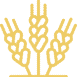 ico_1_1