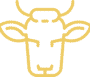 ico_3_1